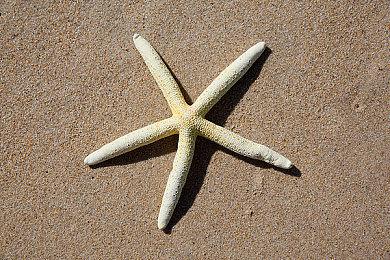 像素冒险《东京物语》宣布跳票 原计划年内发售